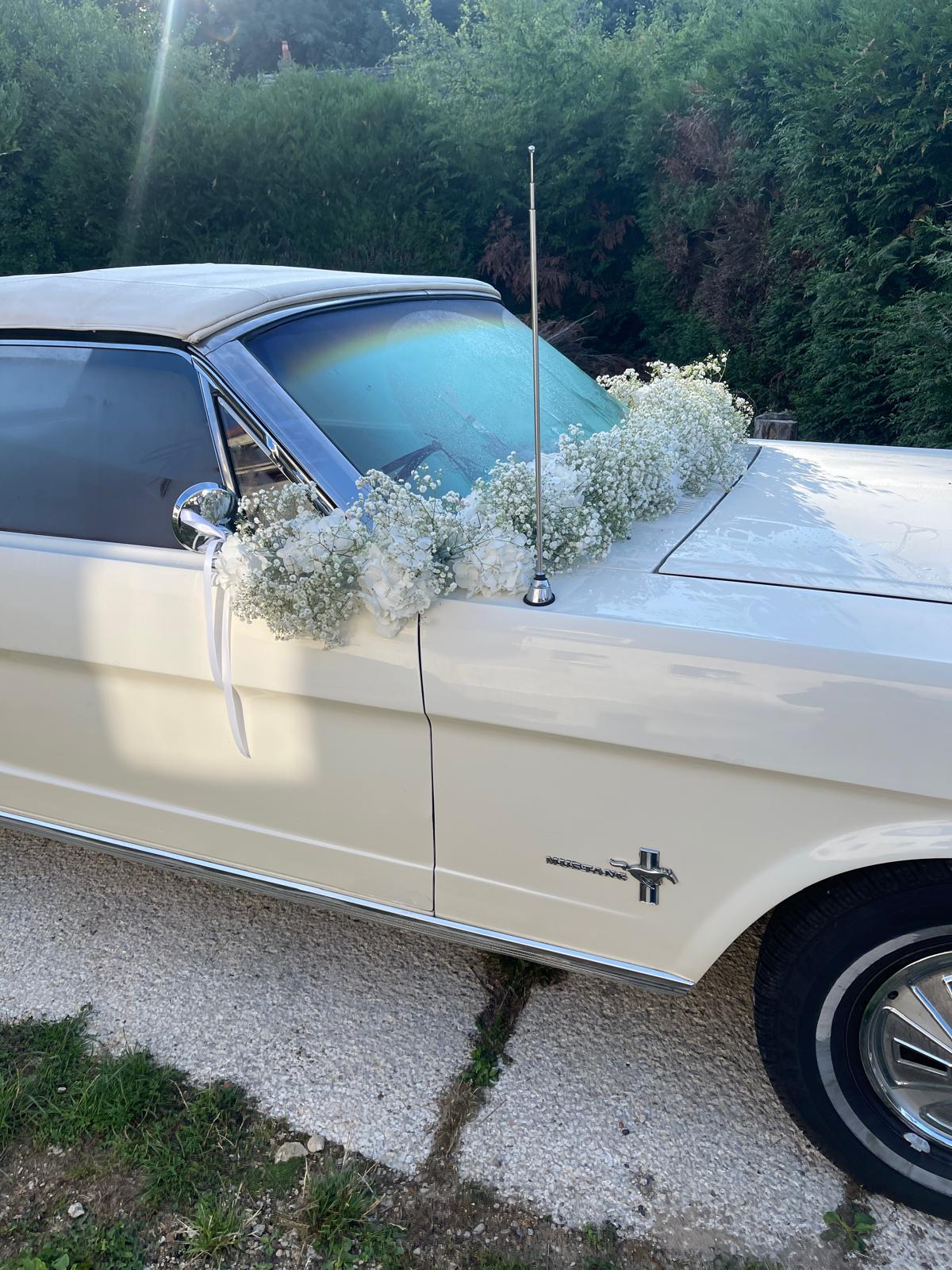 WhatsApp Image 2025 09 23 at 16.24.47